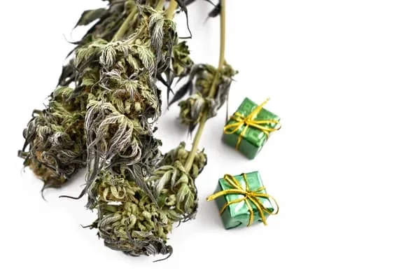 5 OF THE COOLEST WEED GIFTS FOR THE SMOKER IN YOUR LIFE
