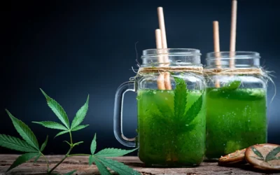 WHAT IS CANNABIS SHAKE AND HOW DO YOU KNOW IF IT’S GOOD?