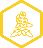 Cannabis Flowers Honeypot Products Niagara Falls 