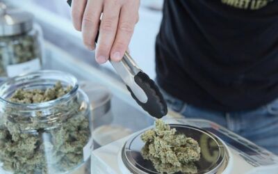 WHAT TO LOOK FOR IN A NIAGARA FALLS DISPENSARY