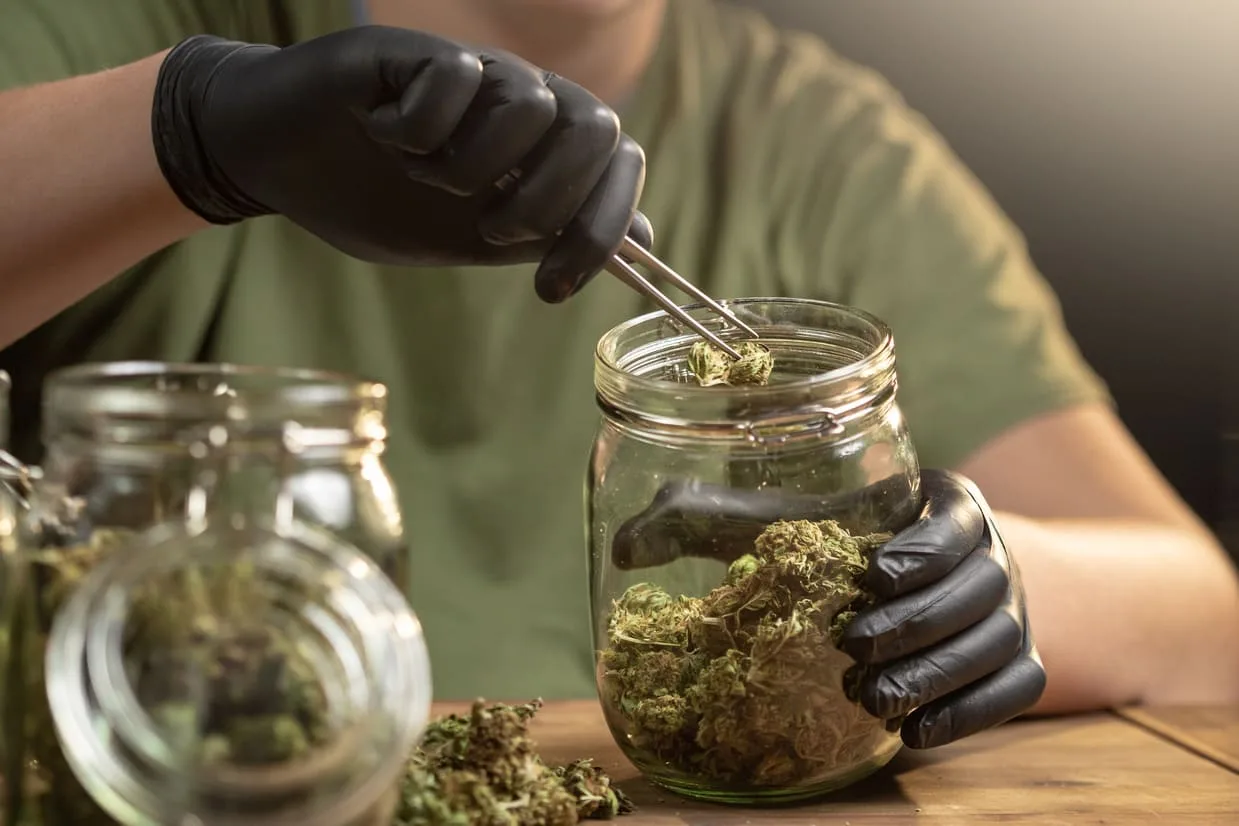 Store-Cannabis Store Cannabis